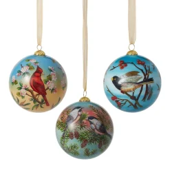 The Met Store Birds of America Hand-Painted Glass Ornament Set