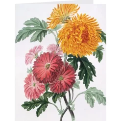 The Met Store Botanical Illustrations Notecards