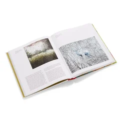 The Met Store Gerhard Richter: Painting After All