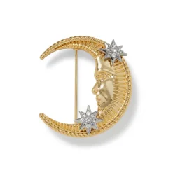 The Met Store Spanish Day and Night Moon Brooch