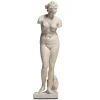 The Met Store Statue of Aphrodite Sculpture