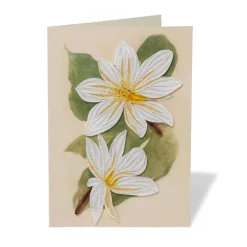 The Met Store Studies of Magnolias Quilled Card