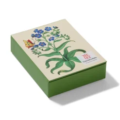 The Met Store The Met Cloisters Garden Notecards