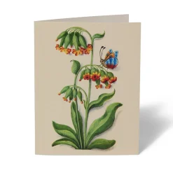 The Met Store The Met Cloisters Garden Notecards
