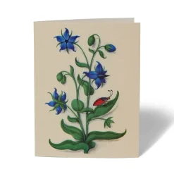 The Met Store The Met Cloisters Garden Notecards