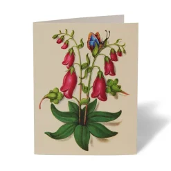 The Met Store The Met Cloisters Garden Notecards