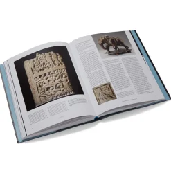 The Met Store Tree & Serpent: Early Buddhist Art in India