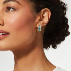 The Met Store Van Gogh Irises Enamel Hoop Earrings